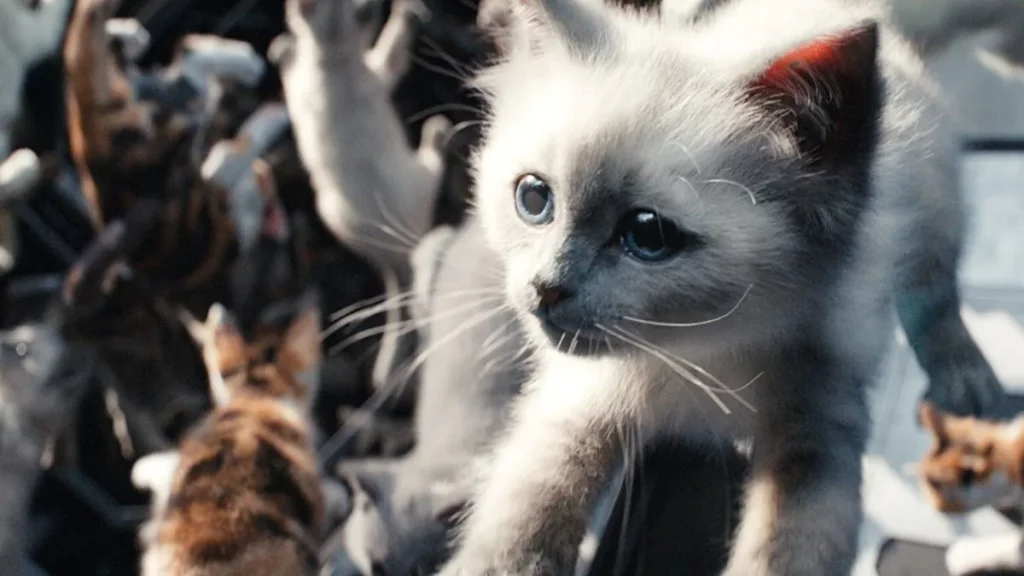 The-Flerkens-The-Marvels gatetes en gravedad zero