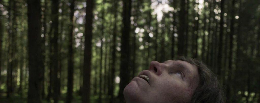 Border Tina disfrutando de la naturaleza